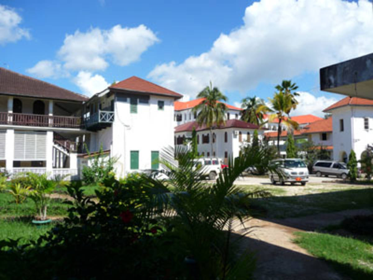 Medical Internships & Electives in Zanzibar — photo 1