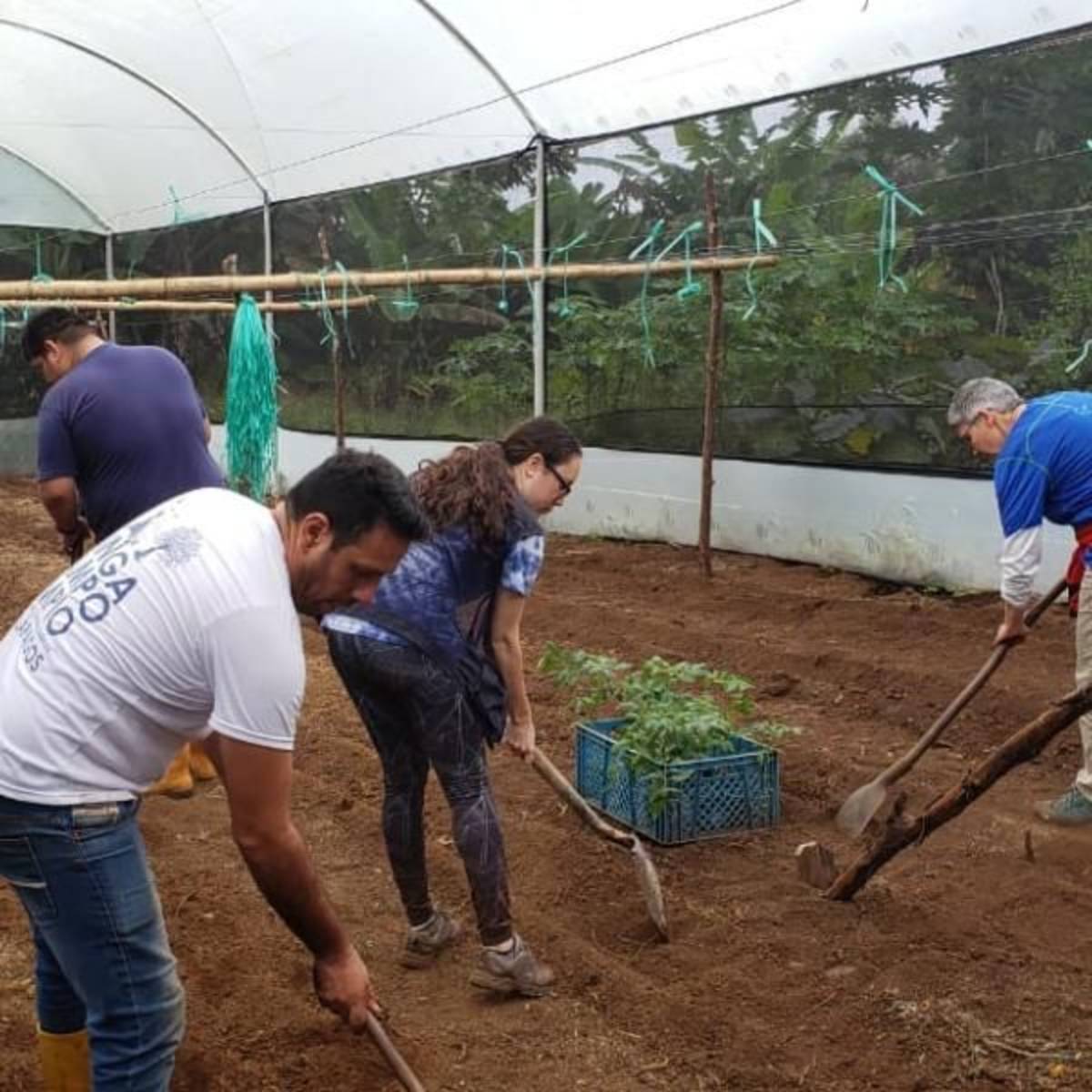 Sustainable Agriculture & Urban Farming
