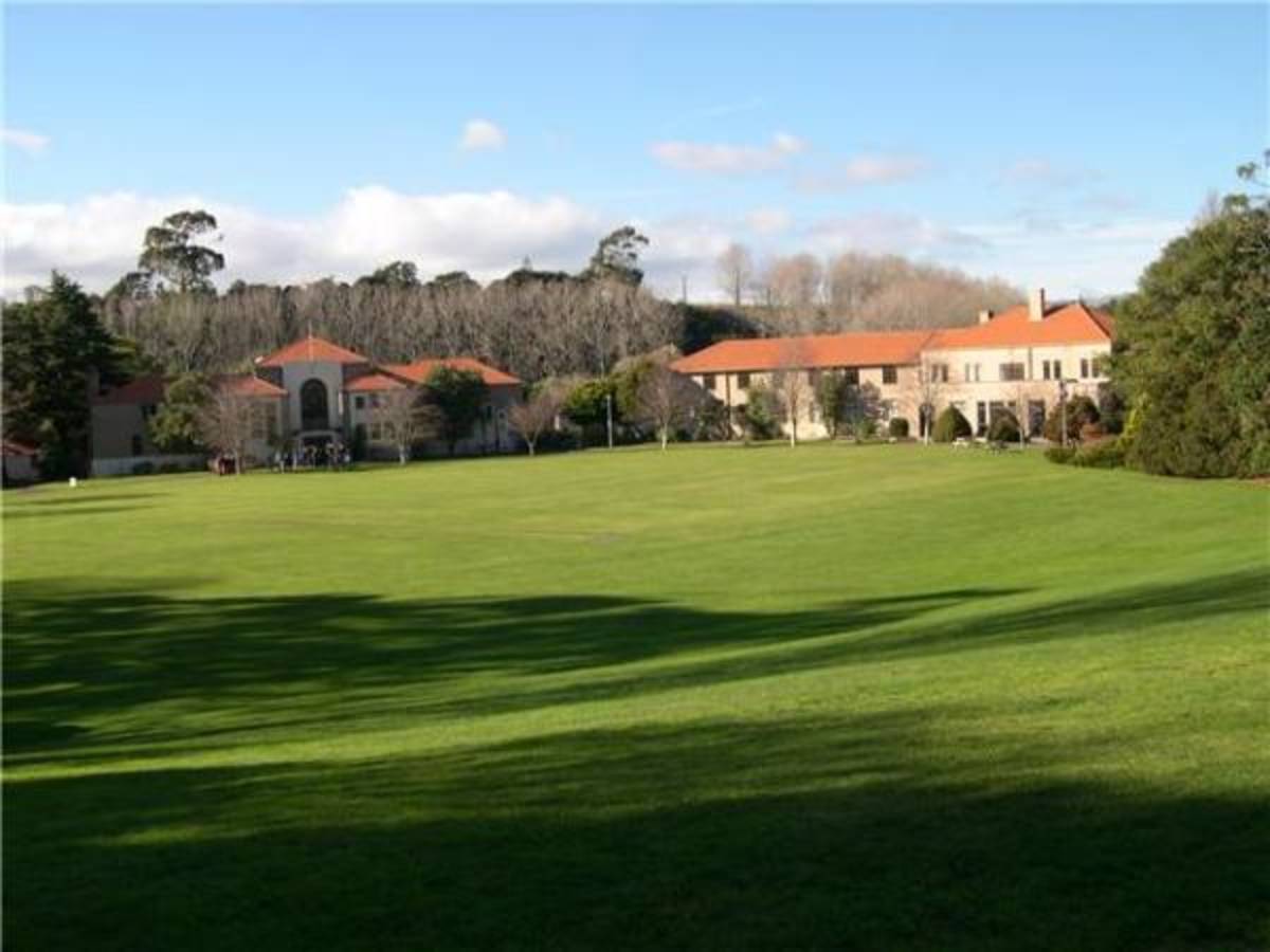 USAC New Zealand: Auckland - Full Curriculum — photo 4