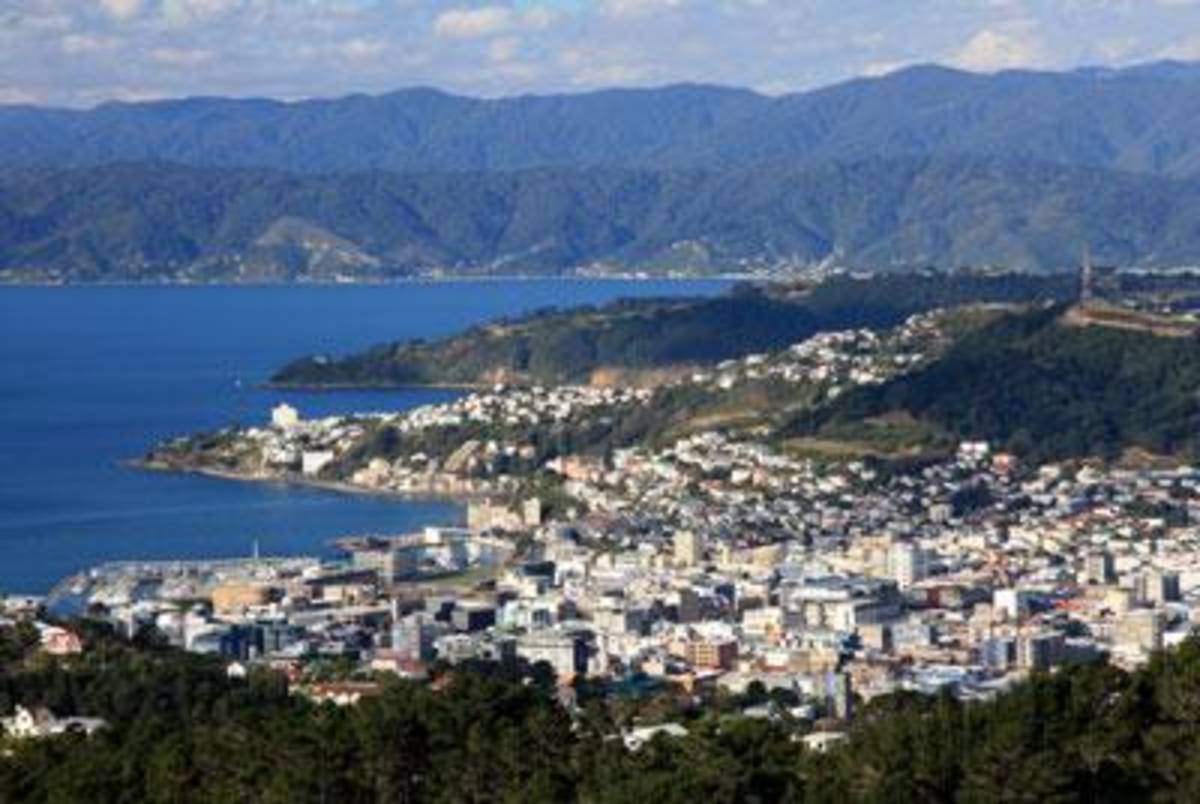 AIFS Abroad in Wellington, New Zealand: Semester — photo 2