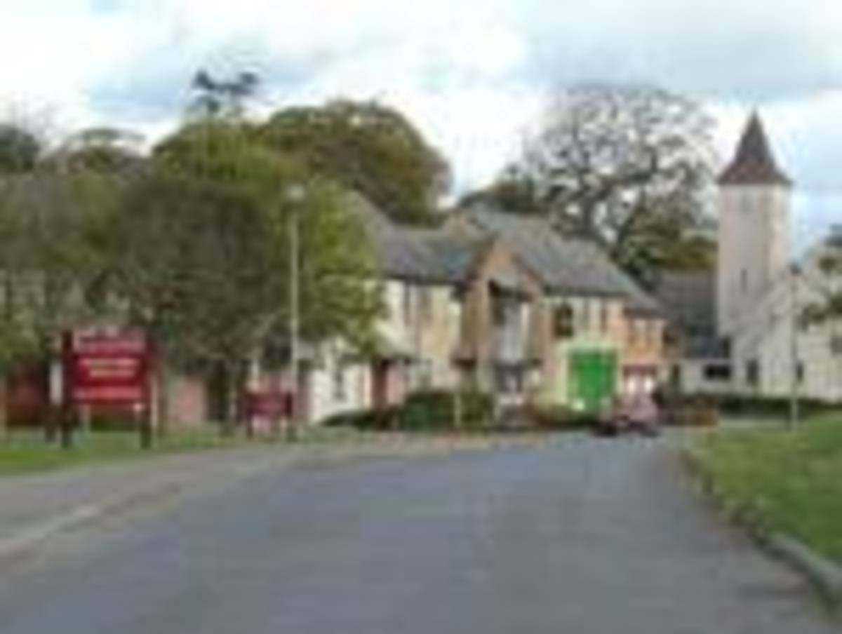 Arcadia Abroad - University of Limerick — photo 2