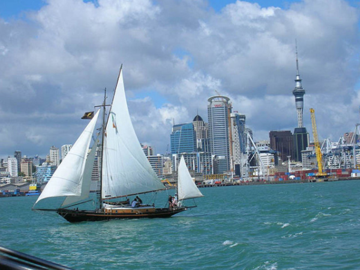 IFSA Victoria University of Wellington Partnership — photo 2