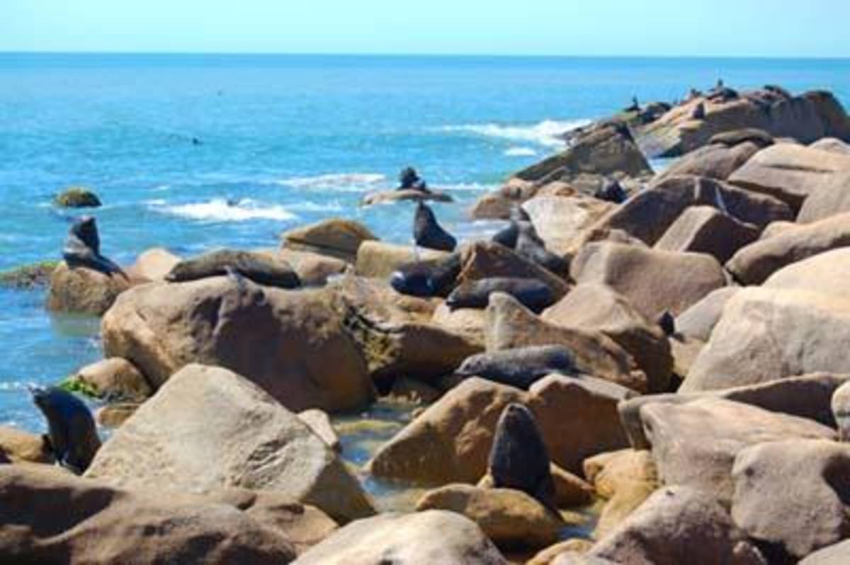 Get Paid to Teach English Abroad in Uruguay with a TEFL/TESOL Certification — photo 8