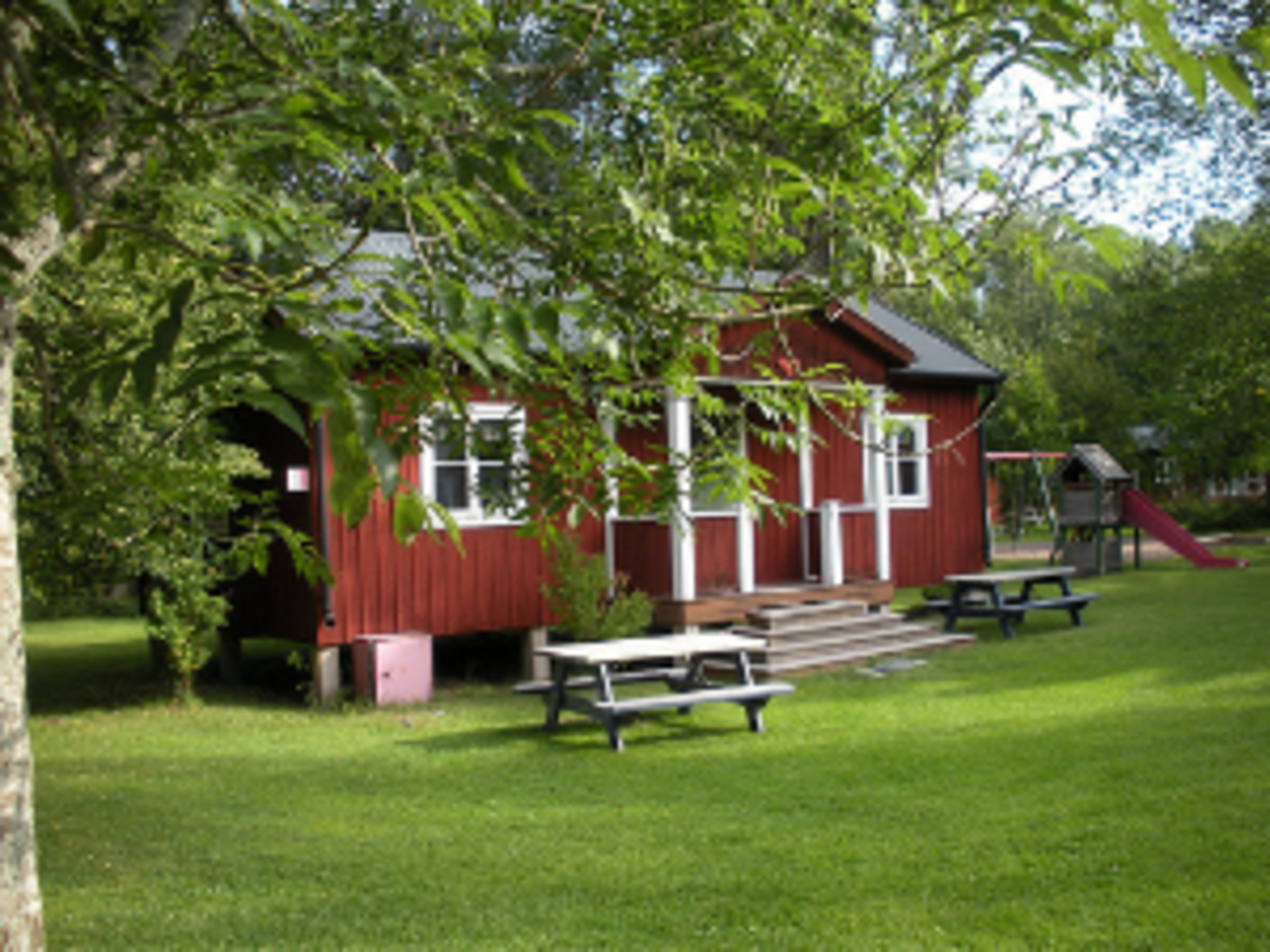 AFS Intercultural Programs: High School Abroad in Sweden — photo 3