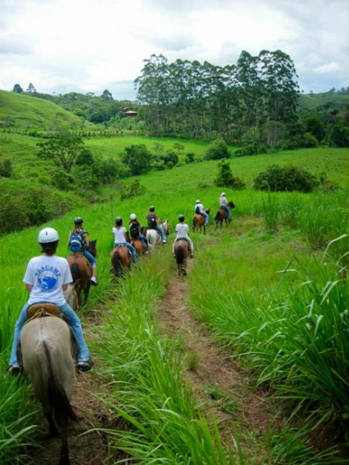 Costa Rica: Veterinary Experience — photo 1