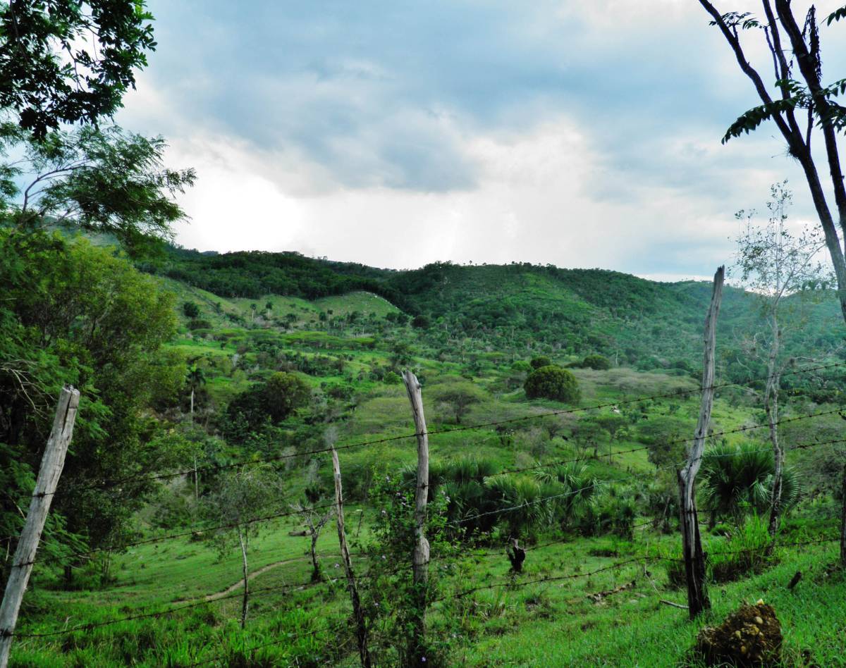 Study Abroad in Santiago, Dominican Republic