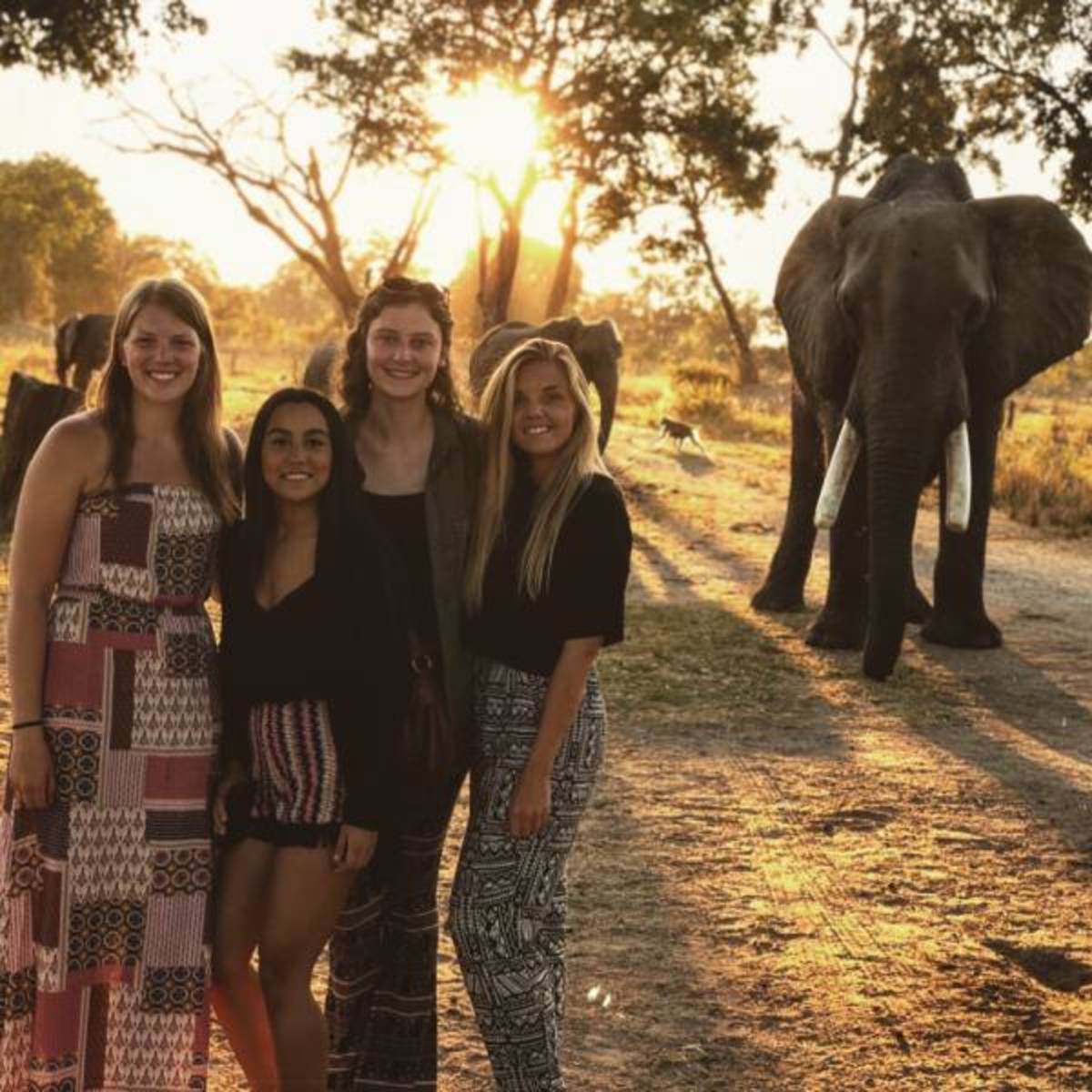 Volunteer in Zambia with IVHQ