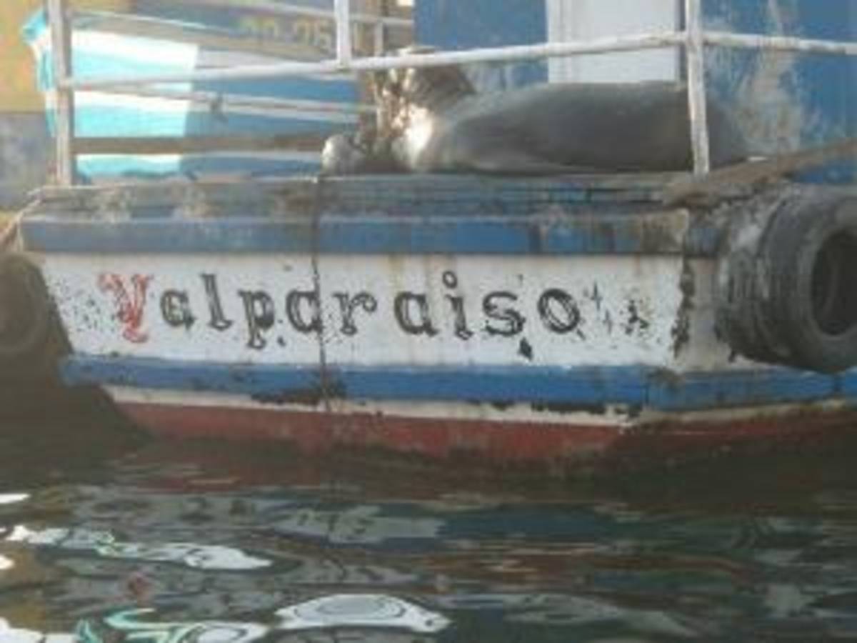 Business Internships in Chile with Adelante Abroad — photo 3