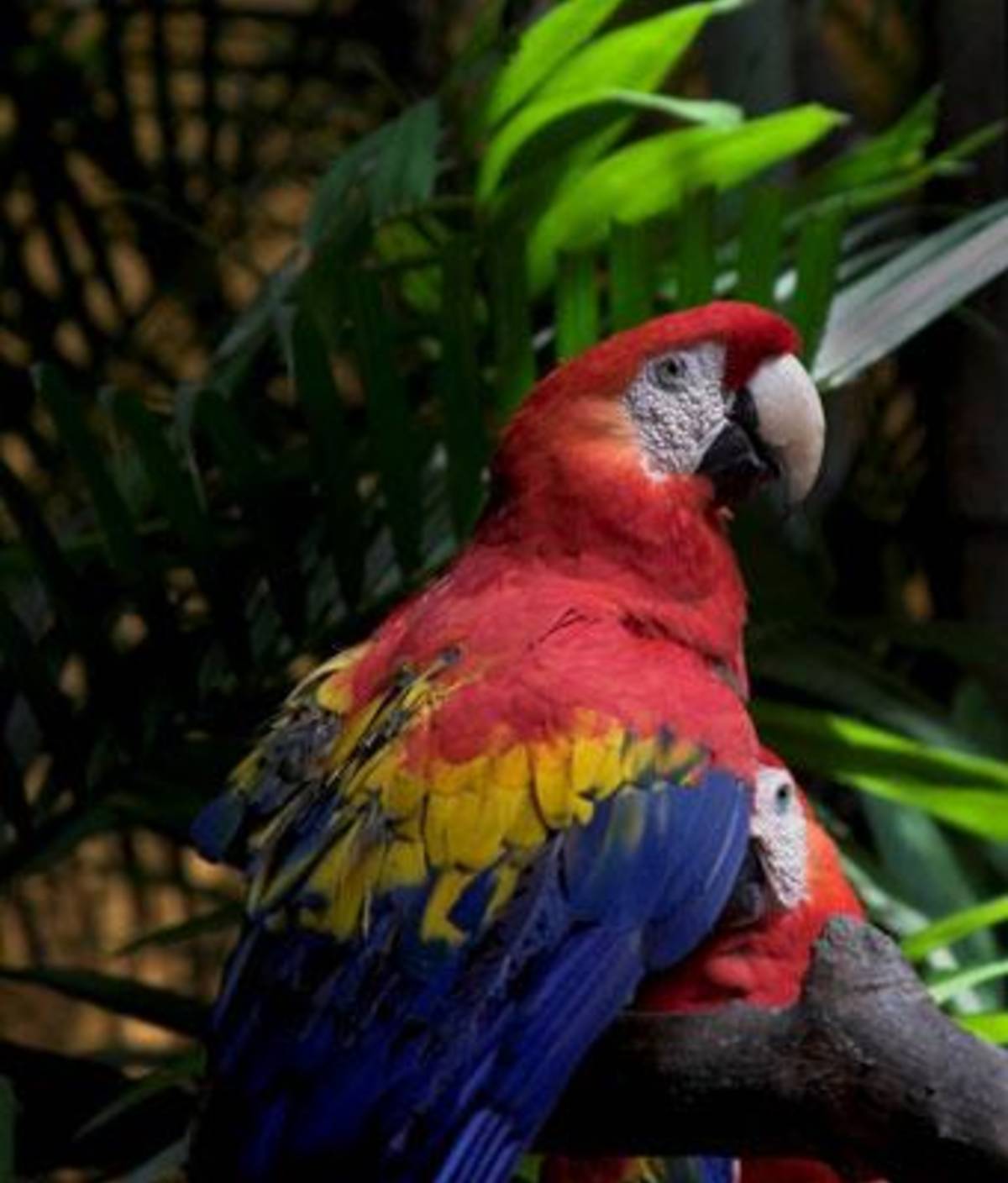 AIFS Abroad in San José, Costa Rica: Summer — photo 3