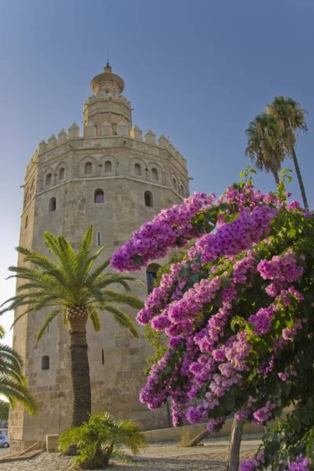 CEA CAPA Education Abroad in Seville, Spain — photo 1