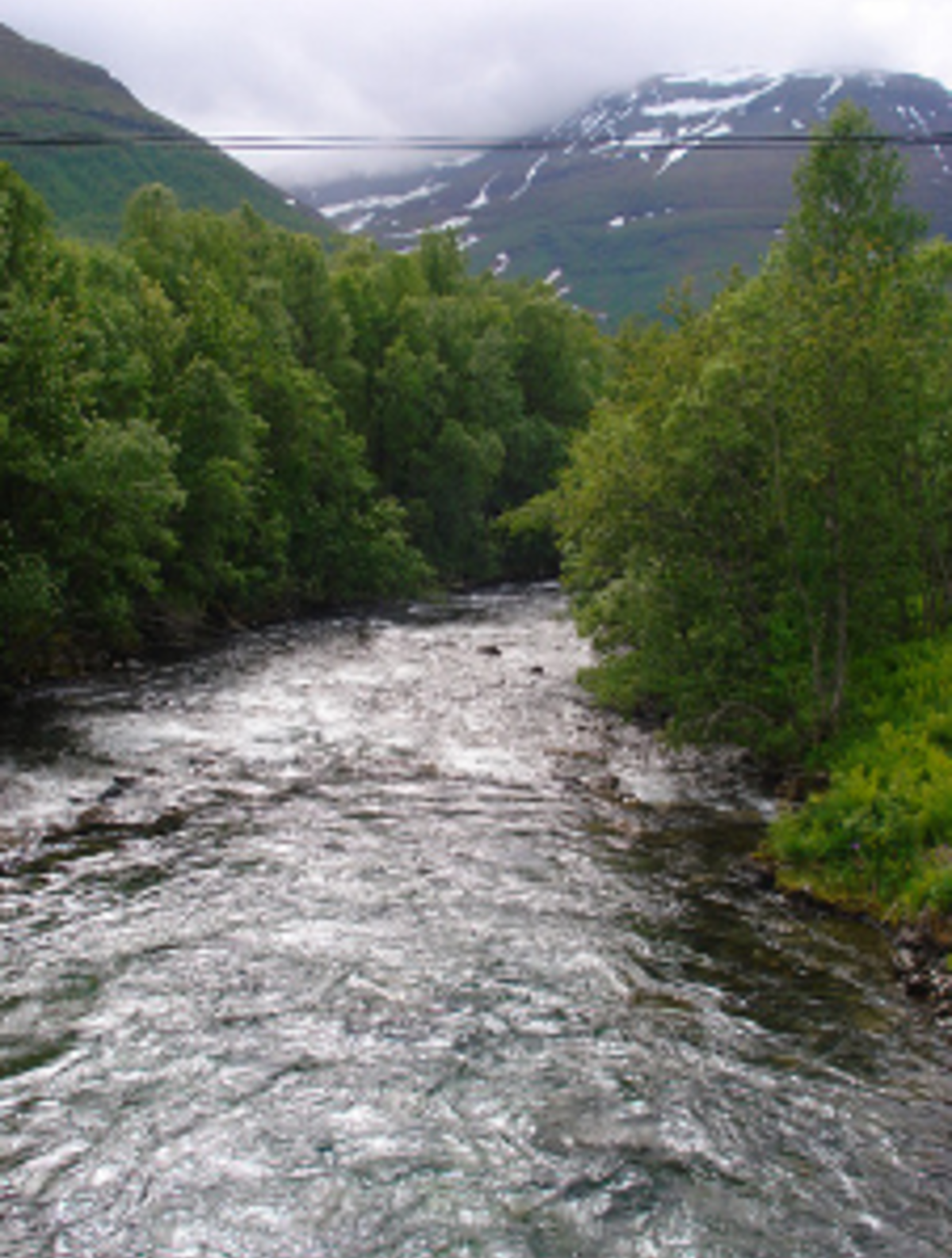 AFS Intercultural Programs: High School Abroad in Sweden — photo 4