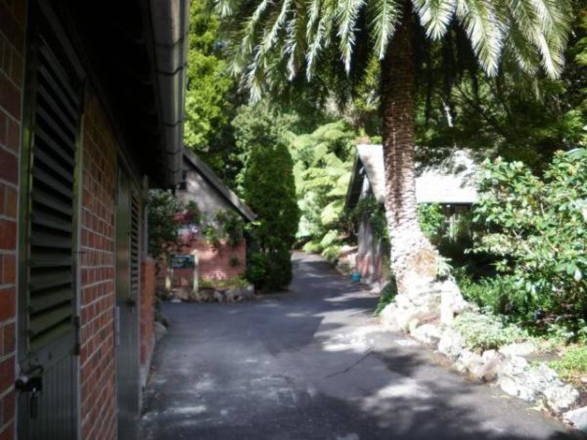 Botanical Garden Internship in New Zealand — photo 6