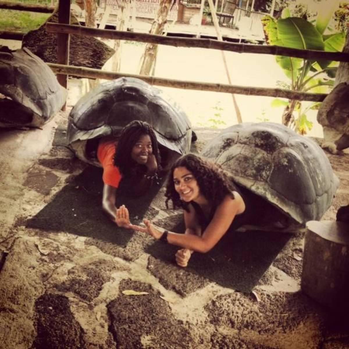 turtle people