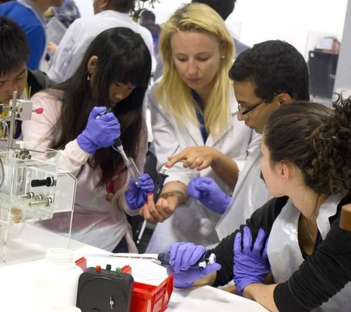 Lab Experiments
