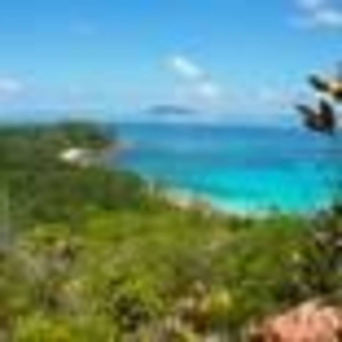 Enjoy an amazing and unique adventure