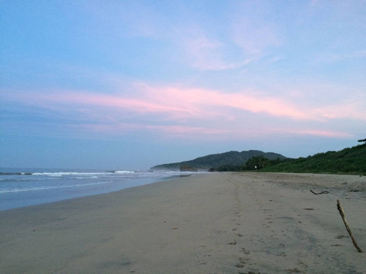 Study Abroad in Monteverde, Costa Rica