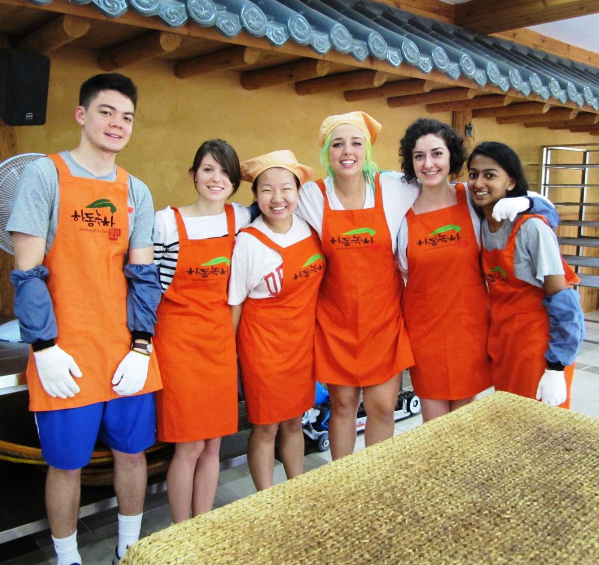 Study Abroad in Seoul, Korea