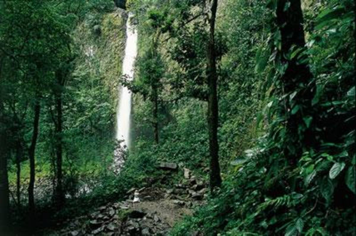 AIFS Abroad in San José, Costa Rica: Summer — photo 4
