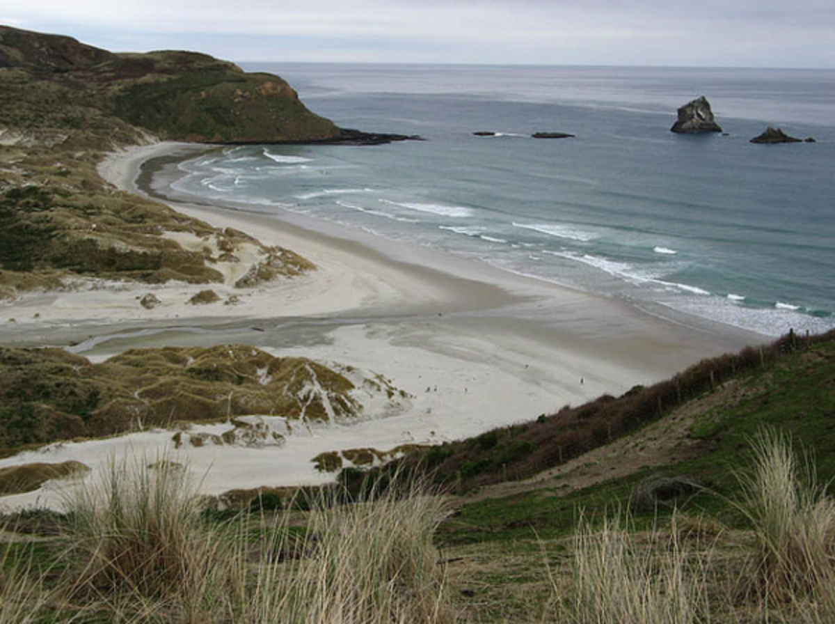 IFSA Victoria University of Wellington Partnership — photo 4