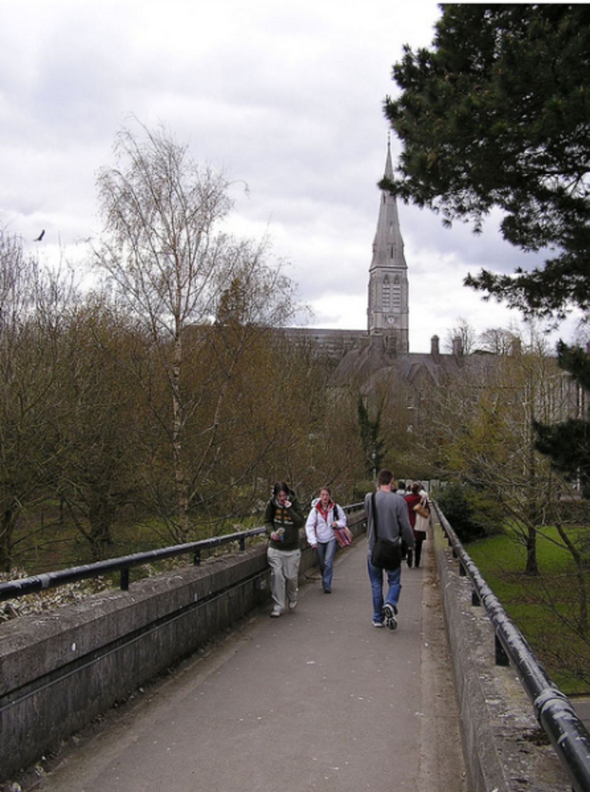 Arcadia Abroad - Maynooth University — photo 5