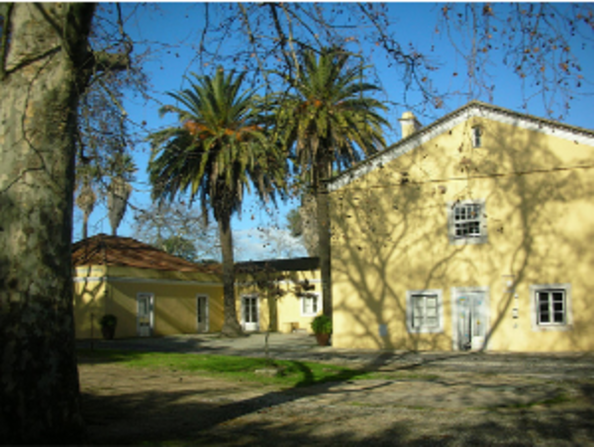 AFS Intercultural Programs: High School Abroad in Portugal — photo 4