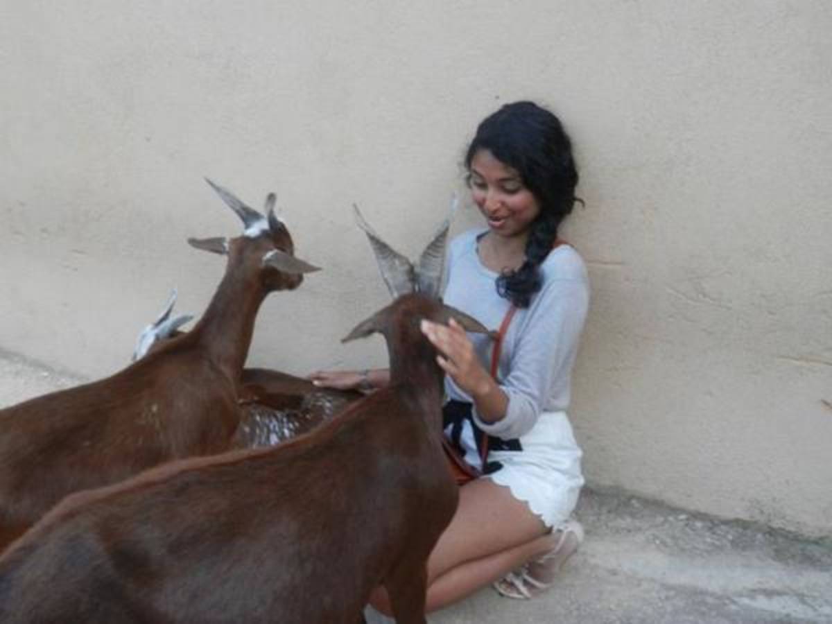 CEA CAPA Education Abroad in Aix-en-Provence, France — photo 7