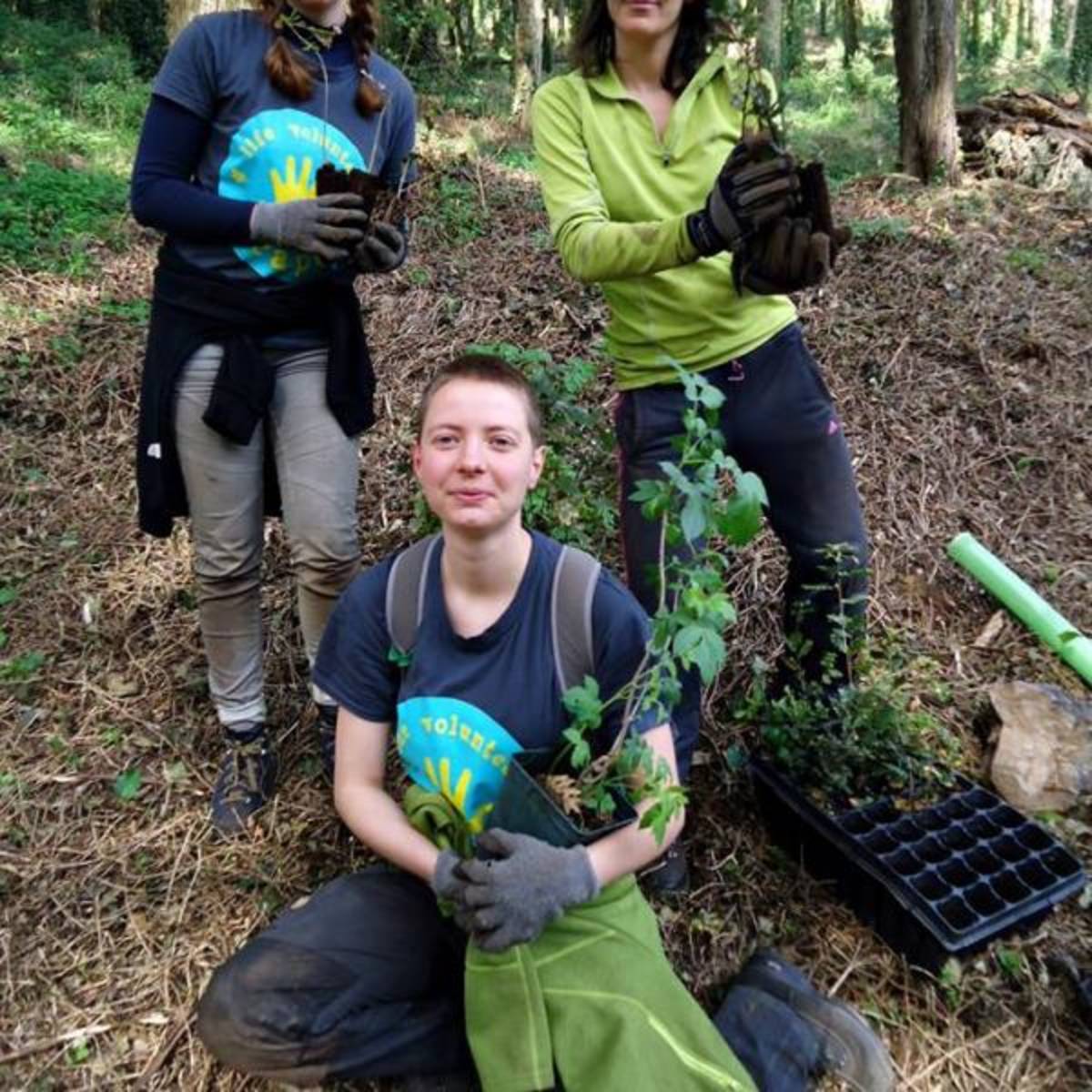 Forest Conservation