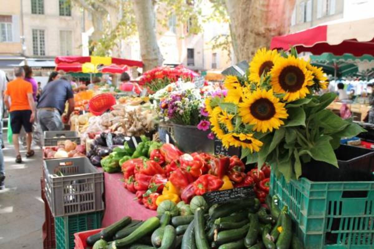 CEA CAPA Education Abroad in Aix-en-Provence, France — photo 6