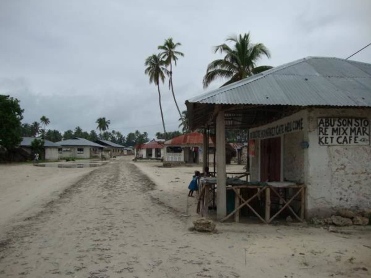 Zanzibar - Dolphin and Marine Conservation — photo 3