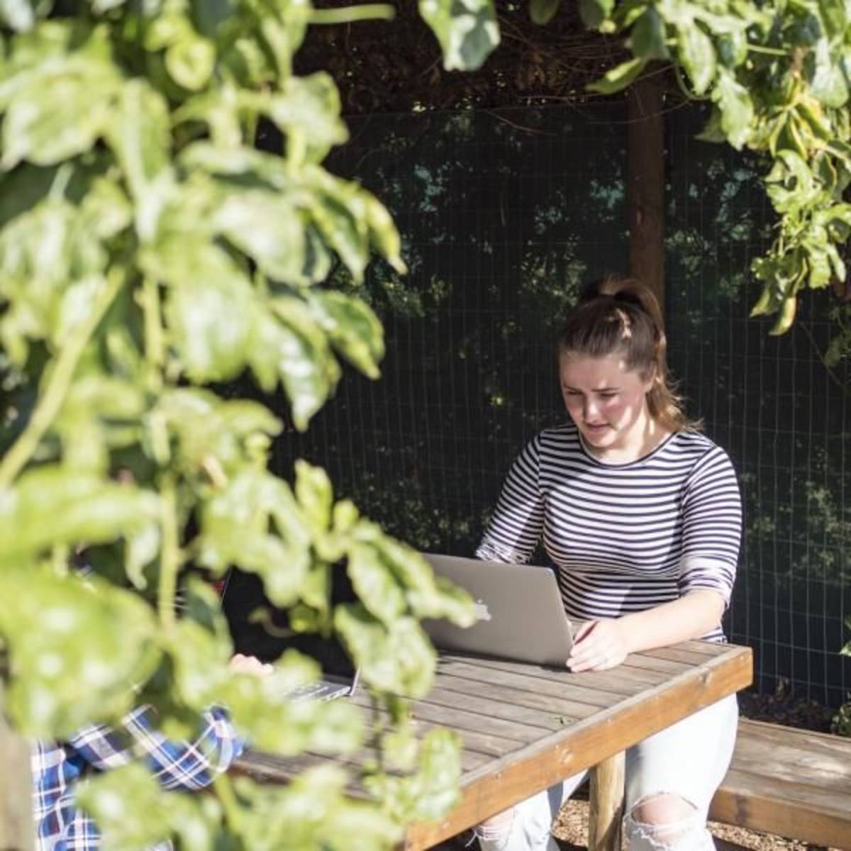 remote internships with nonprofits