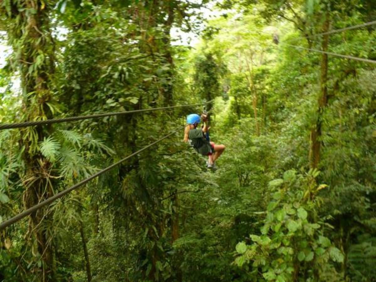 Service & Community Immersion in Costa Rica — photo 6