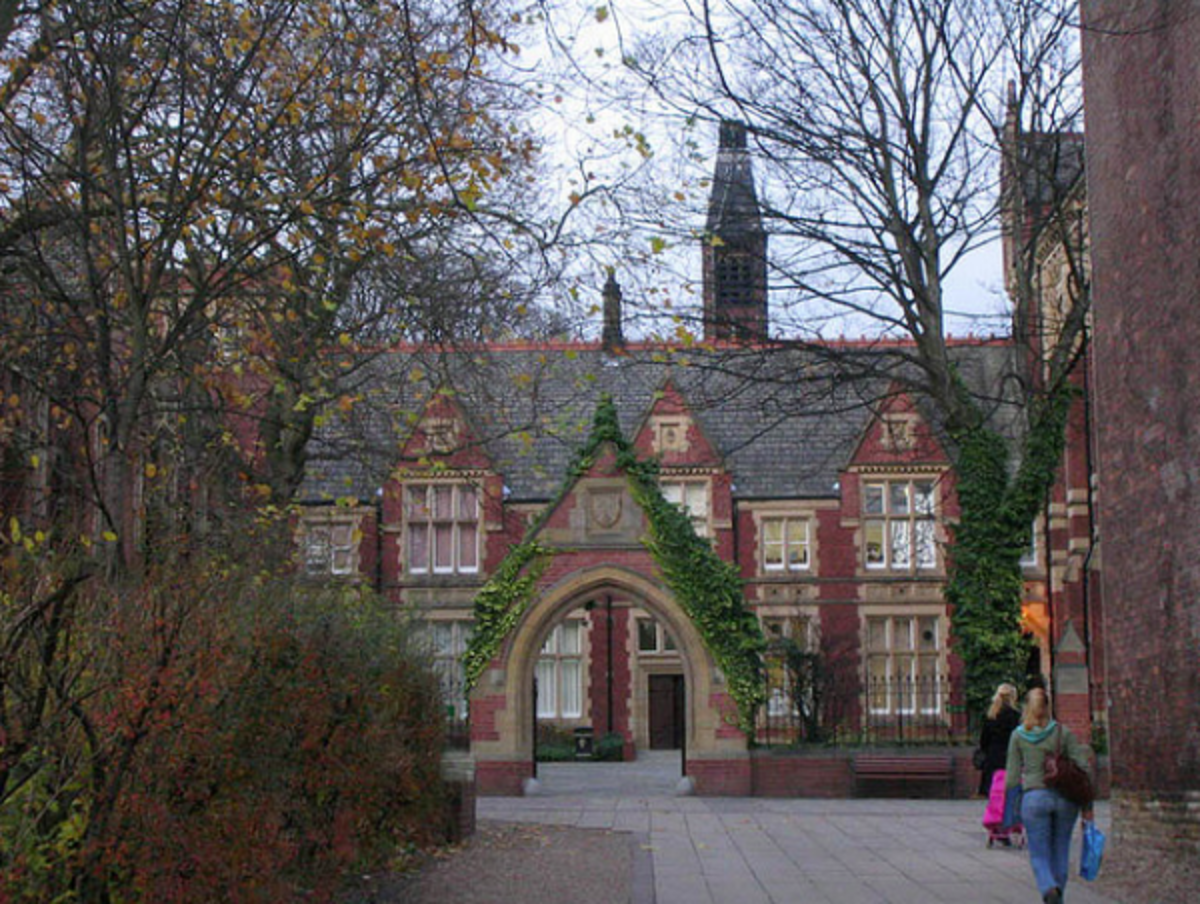 IFSA London School of Economics and Political Science — photo 6