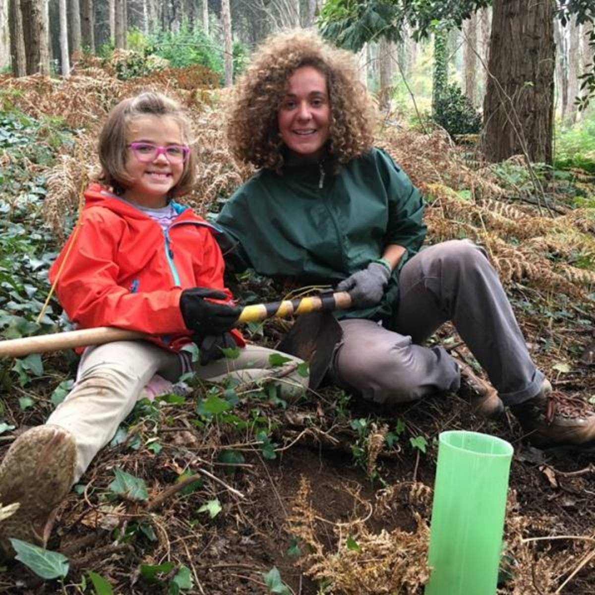 Forest Conservation