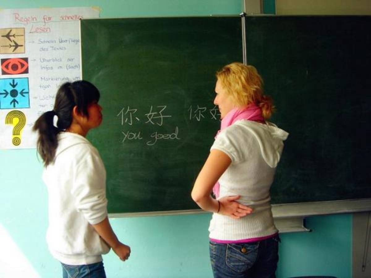 Learn Chinese with One-on-one Personal Tutoring — photo 8