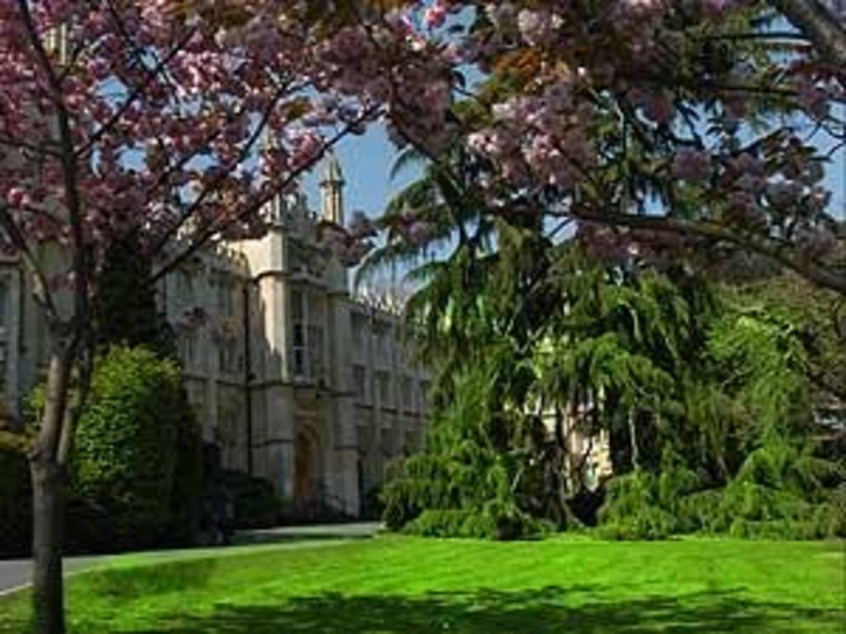 AIFS Abroad in London, England (GEC): Semester — photo 7