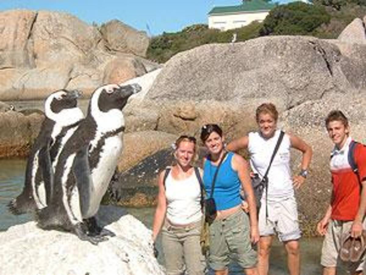 AIFS Study Abroad in South Africa: Summer — photo 7