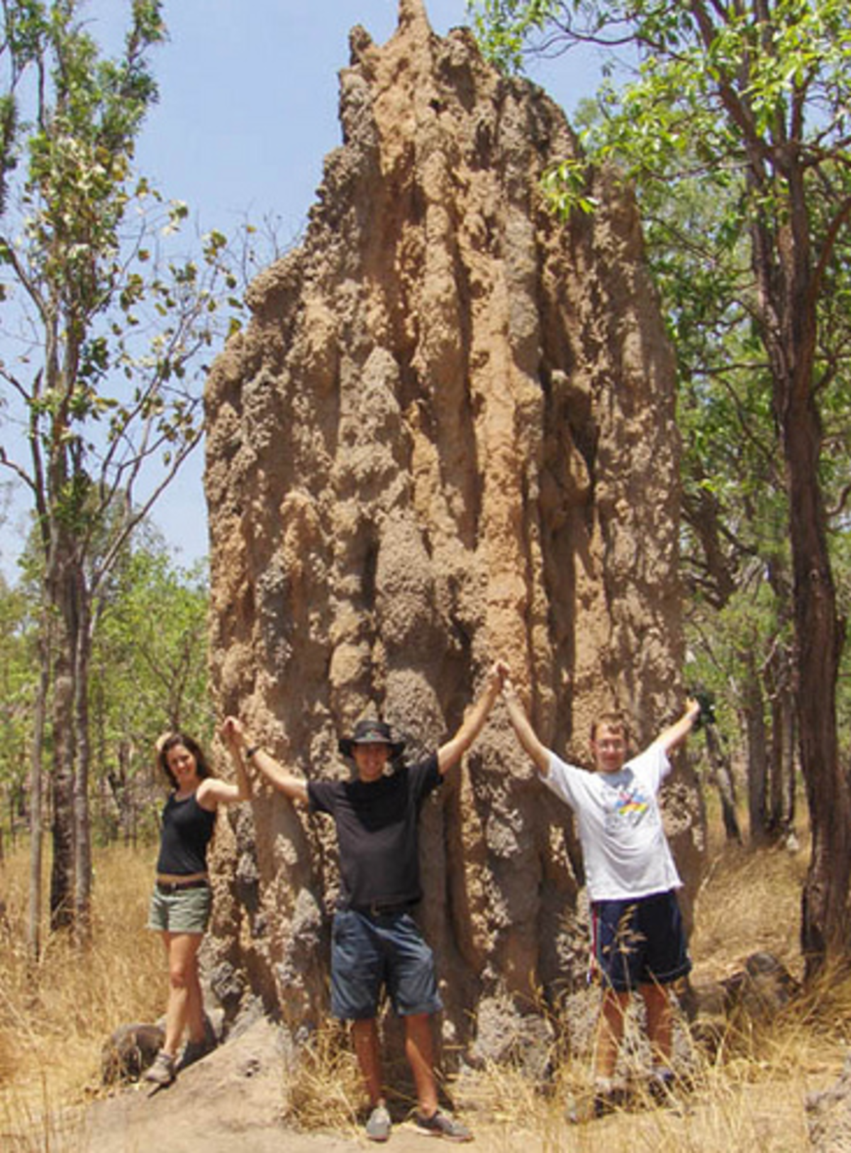IFSA James Cook University Partnership, Townsville — photo 8