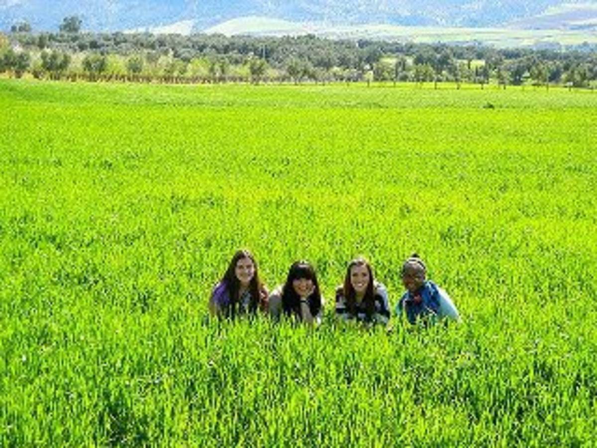 CEA CAPA Education Abroad in Granada, Spain — photo 8