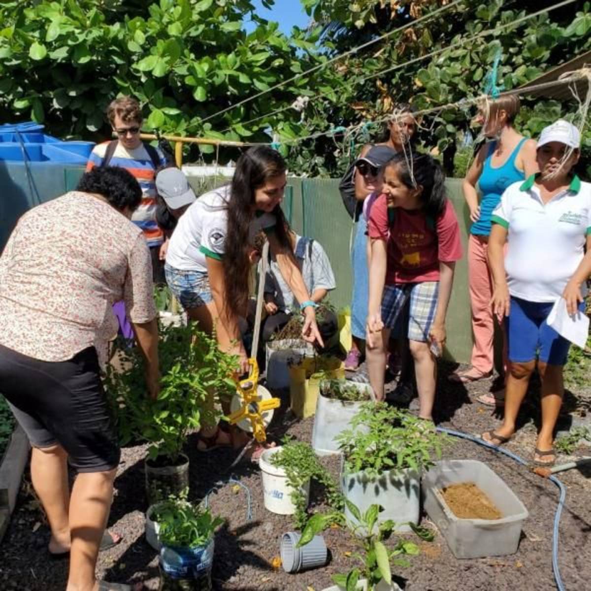 Sustainable Agriculture & Urban Farming