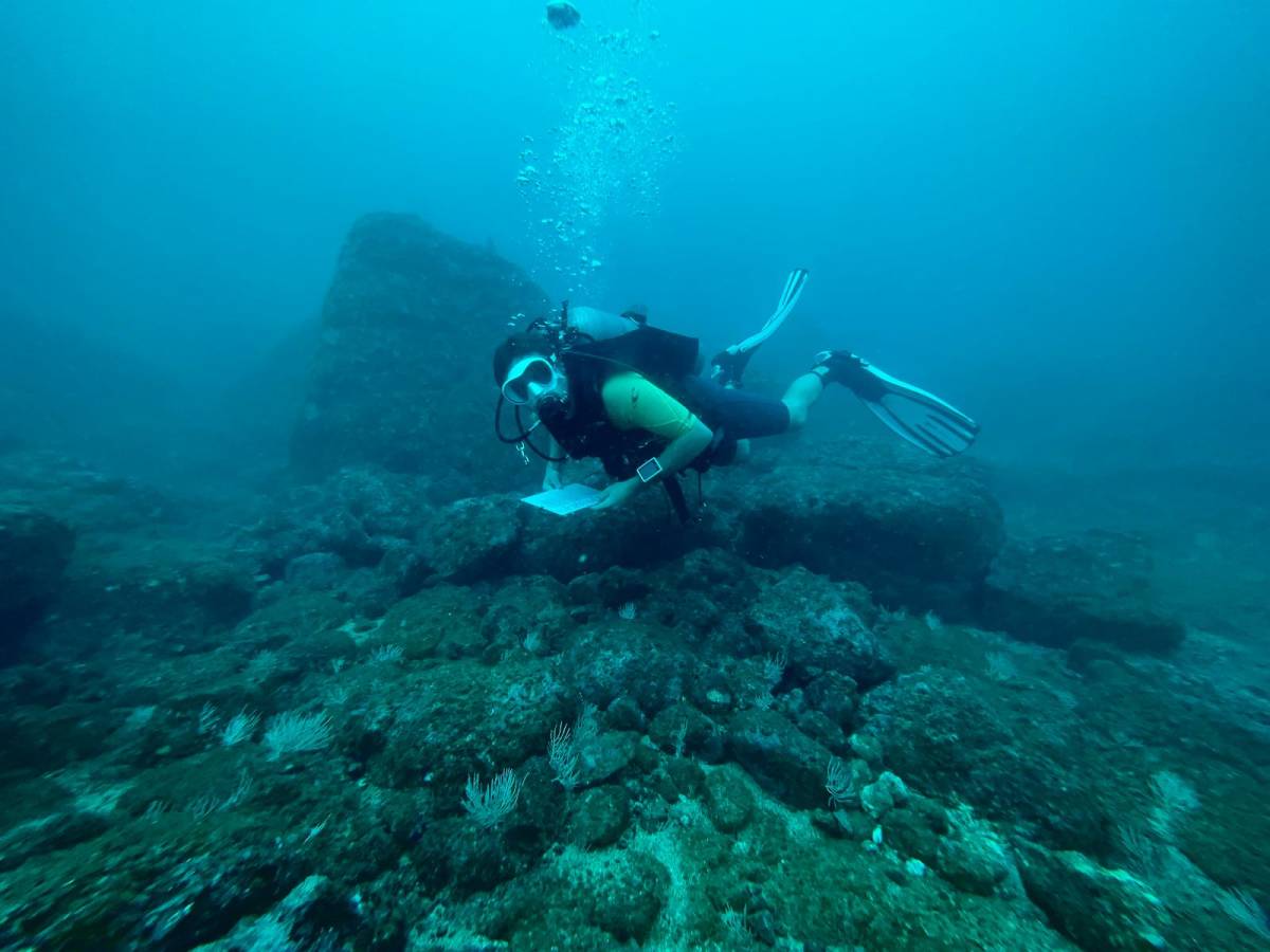 a diver with a clip board