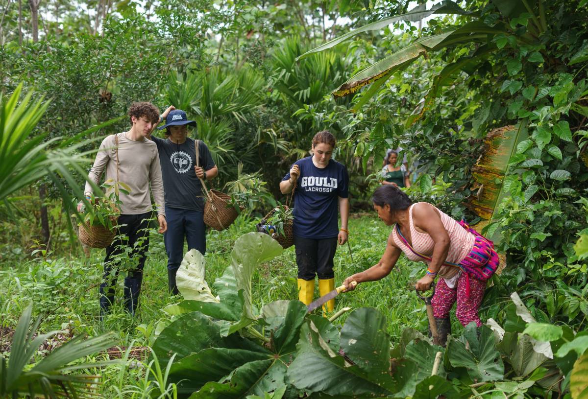 A group gathers in the garden, looking down at what the local woman is indicating to with her machete. 