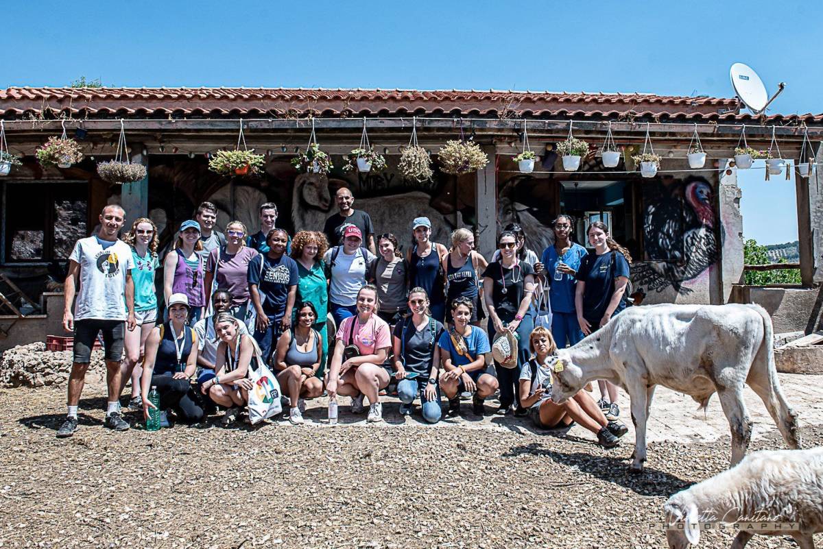 A group of Fellows with the animal rescue team