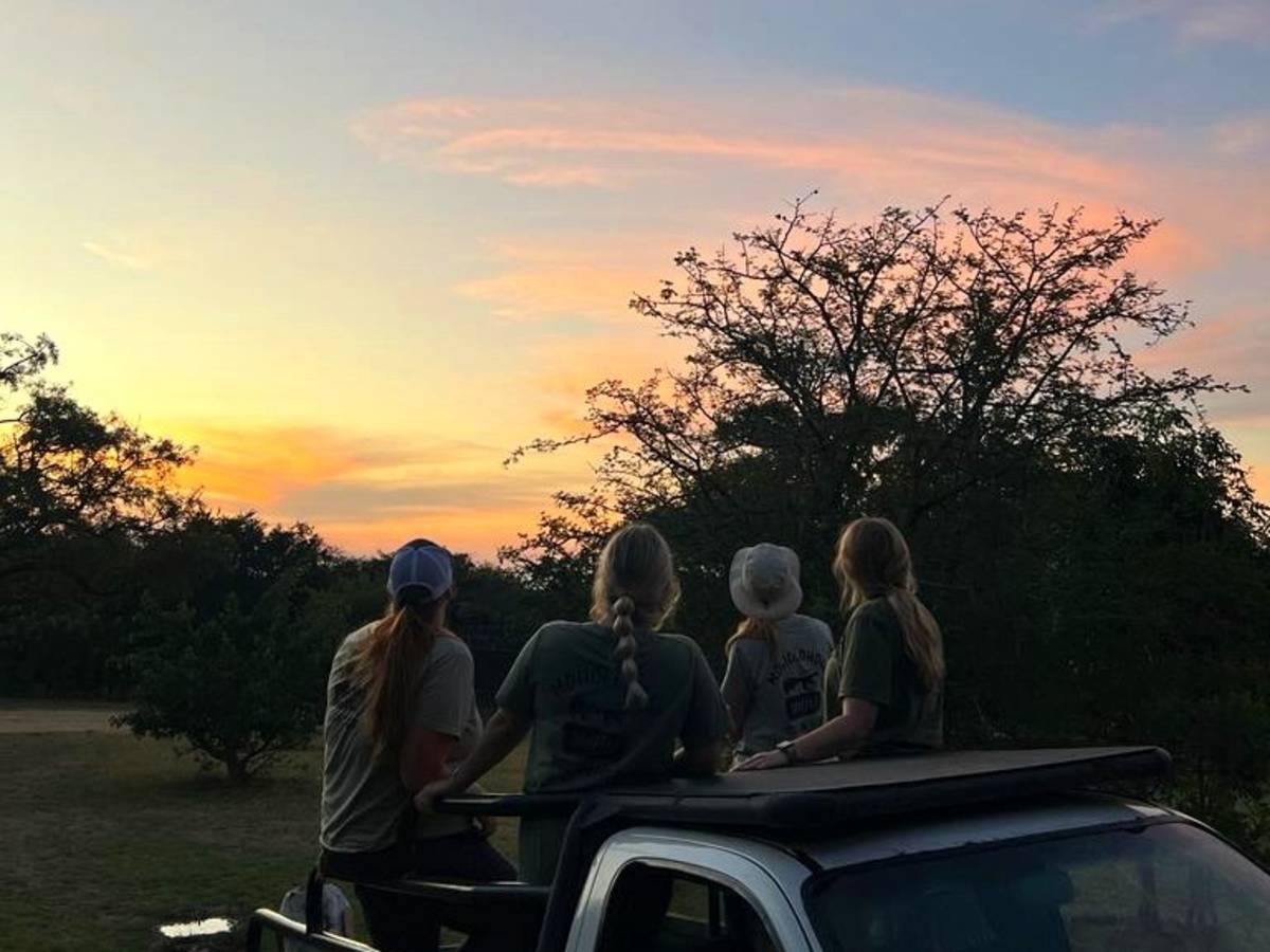 A group of volunteers watch the sunset