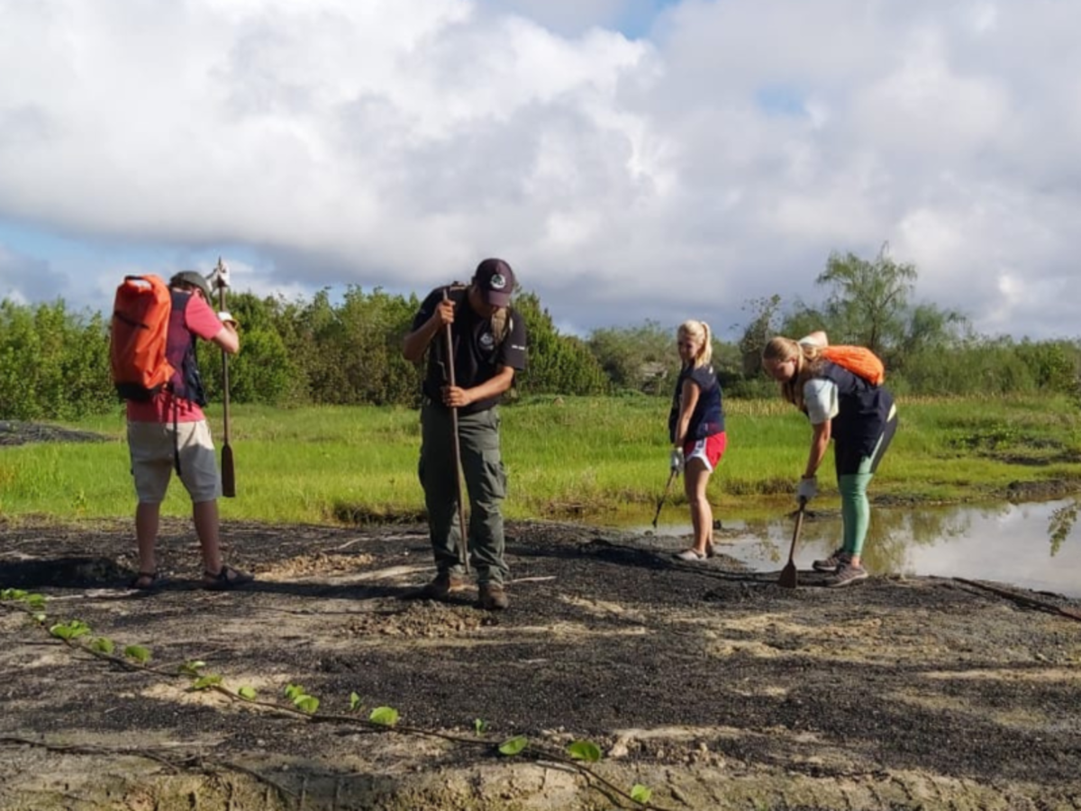 a group of volunteers