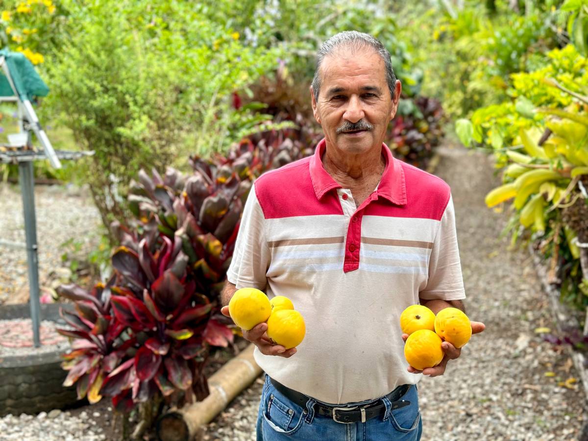 A man holding oranges.