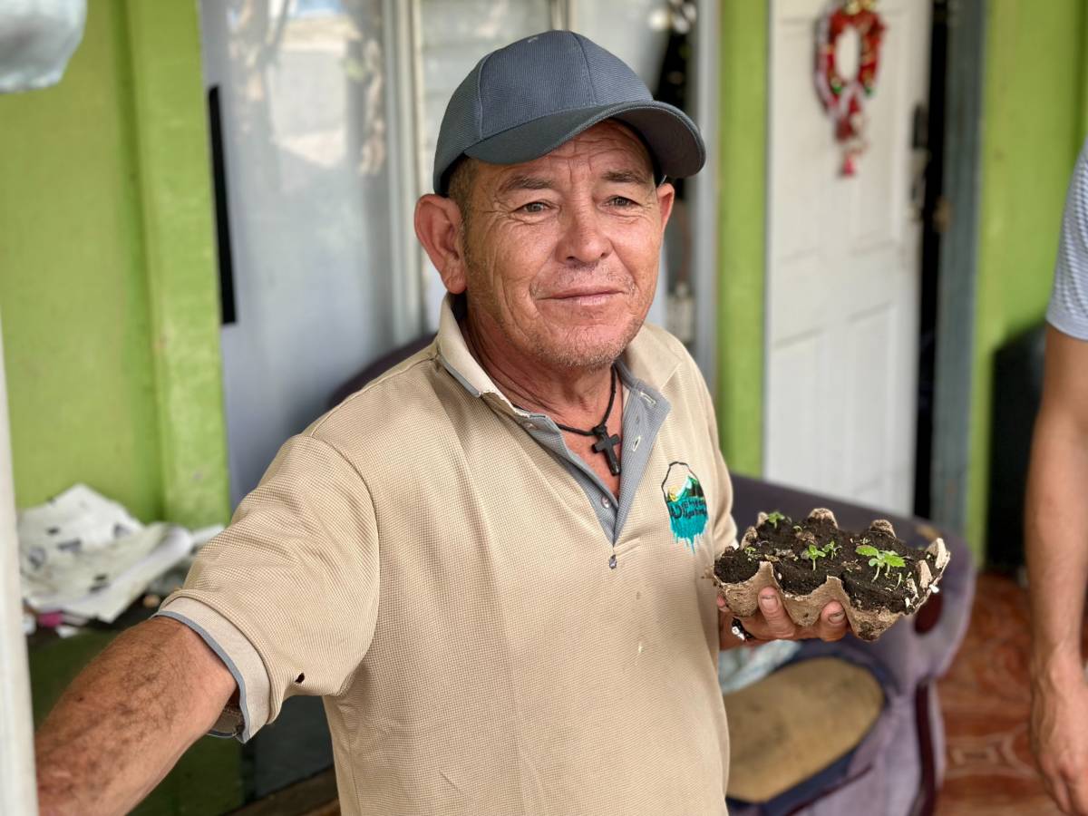 A man holding seedlings.