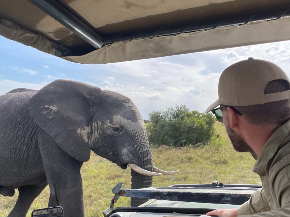 a man looks out at an elephant