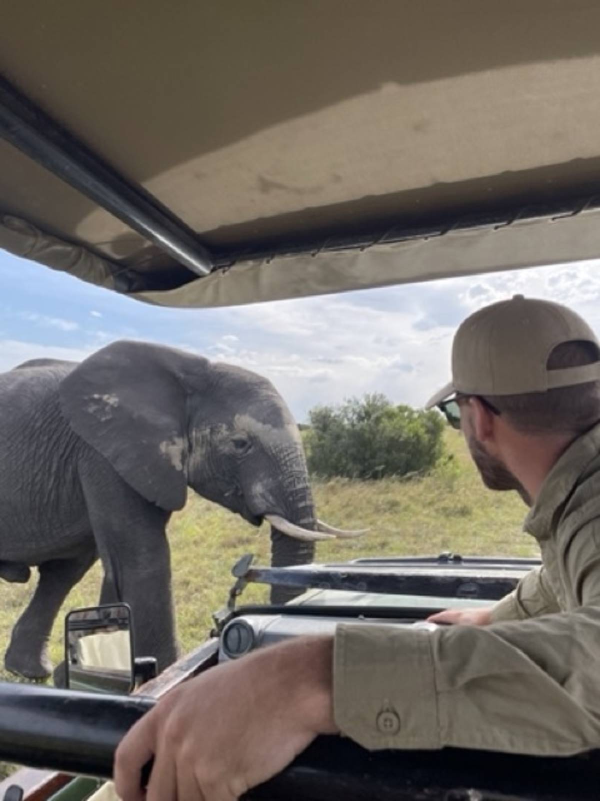 a man looks out on elephant in the safari