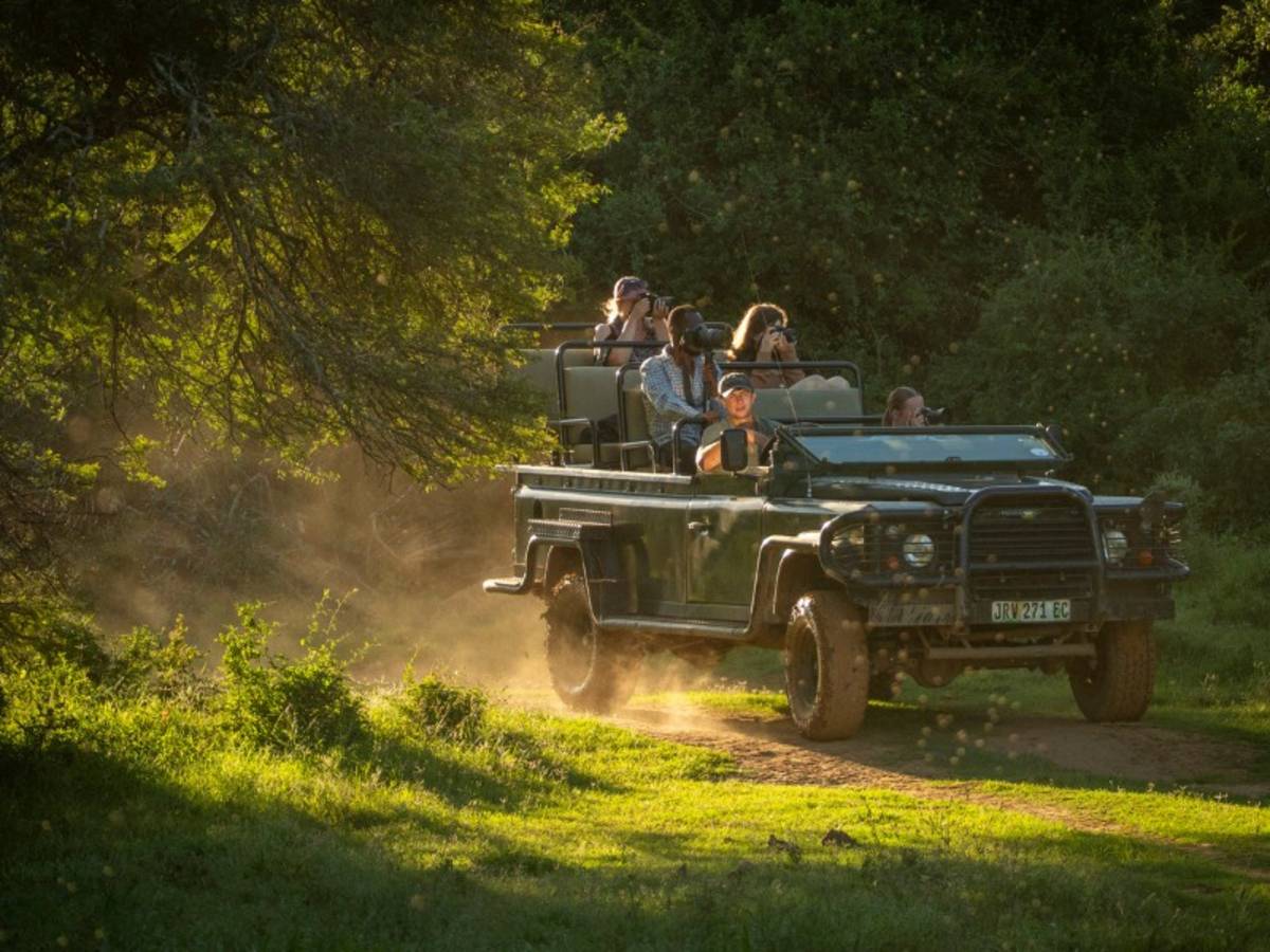 A safari vehicle with photographers driving down a dusty bush track at golden hour on a South Africa Penda Photo Tour