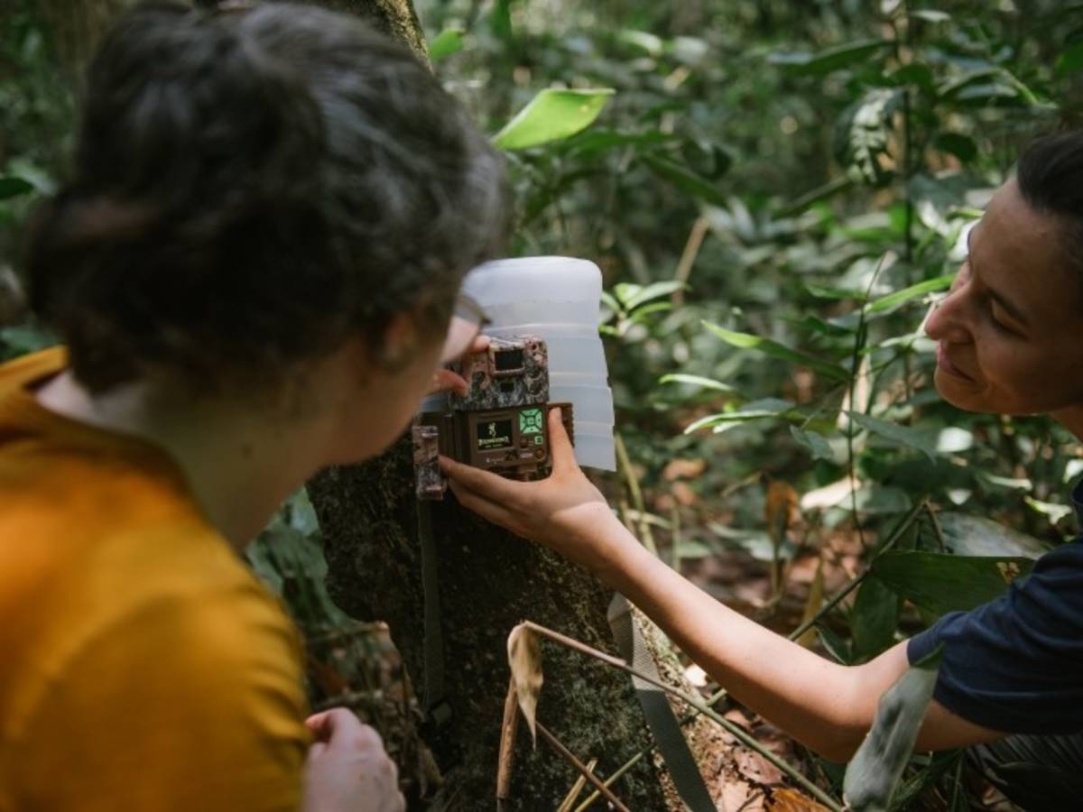 A staff member of ASA and a student setting up a camera trap at Finca Las Piedras